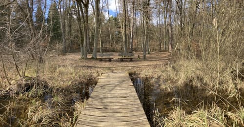 Kleine Runde in Gudow