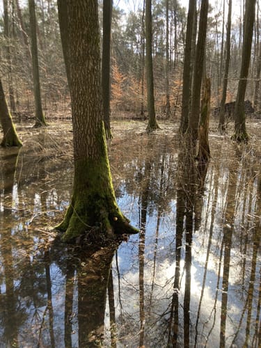 Kleine Runde in Gudow