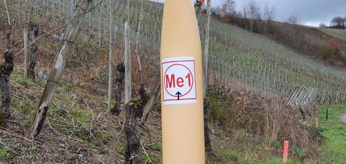 Mertesdorf 1 (Me 1)