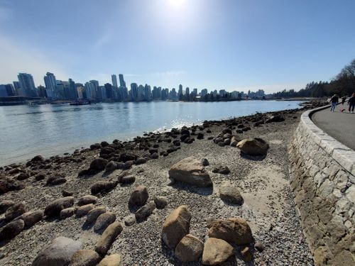 are dogs allowed in stanley park beaches