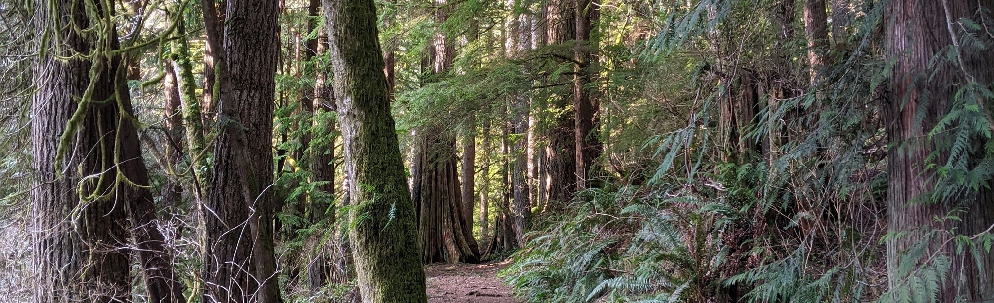 Stewart Memorial Park Trail: 13 fotos - Washington | AllTrails