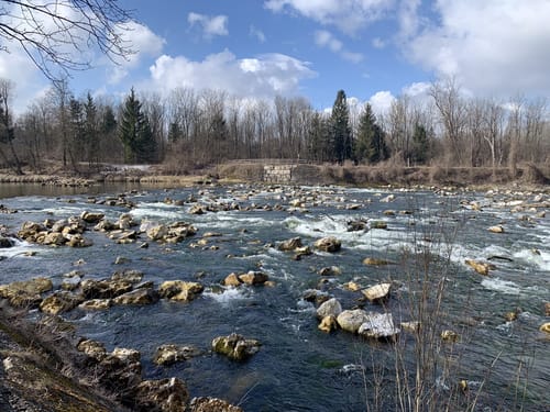 Isar und Poschinger Weiher ab Ismaning