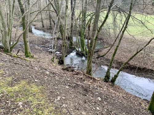 Wirftbach-Schleife