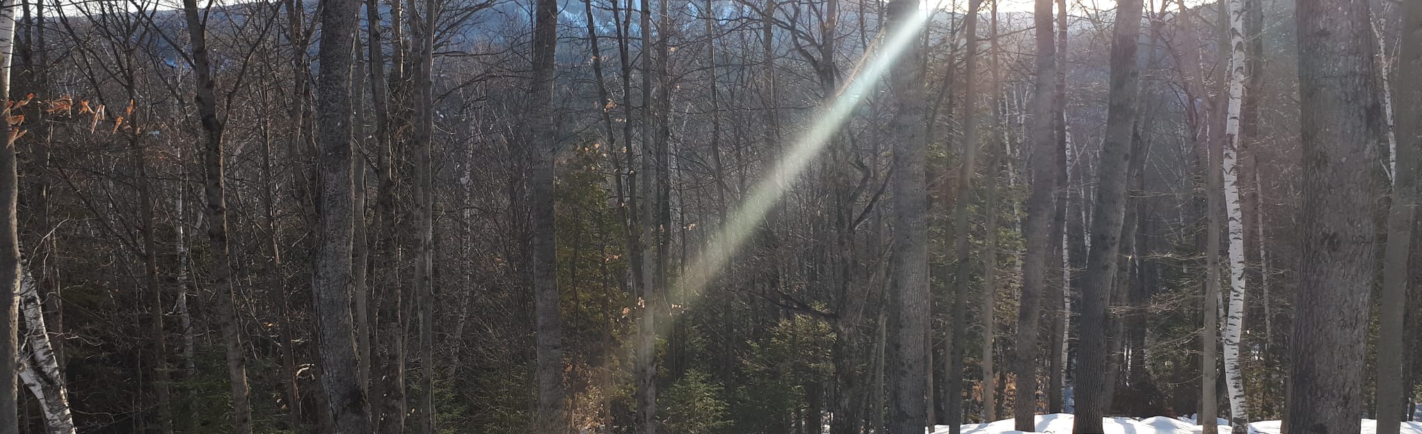 Lac à l'Orignal via sentier Western, Quebec, Canada 2 Reviews, Map AllTrails