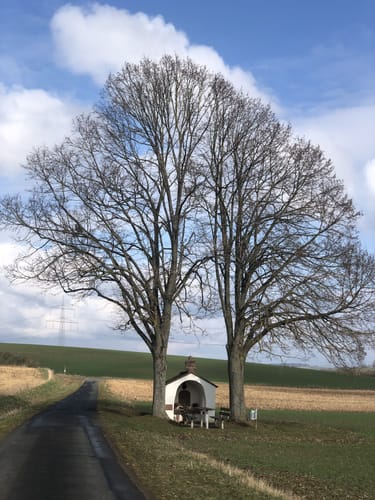 Im Ried bei Eußenheim