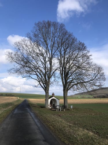 Im Ried bei Eußenheim