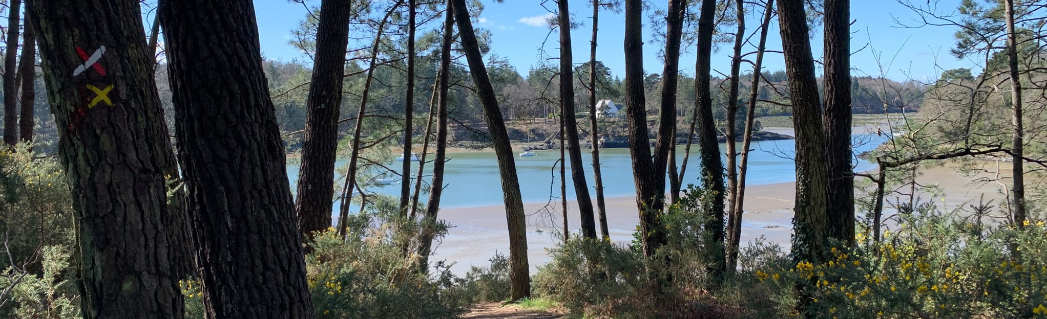 Kernours Tumulus 26 foto's Morbihan, Frankrijk Wandelen AllTrails