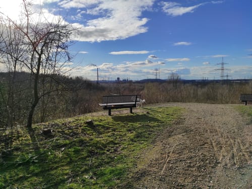 Durch den Nordsternpark