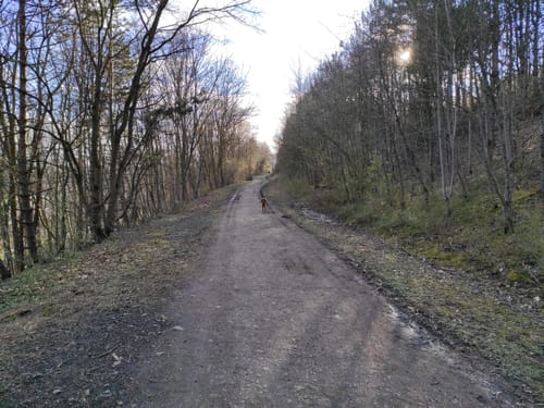 Durch den Nordsternpark