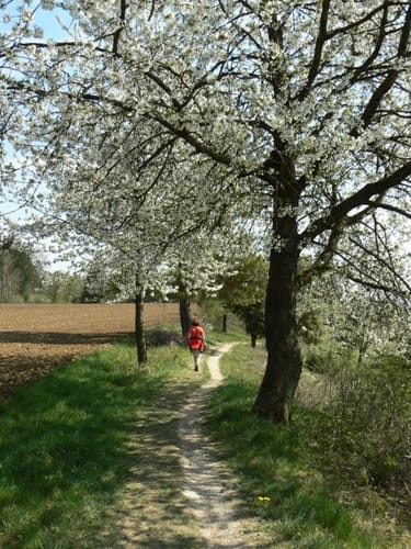 Rund um Hörvelsingen