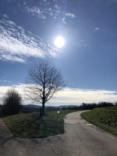 Wenighösbach: Südlicher Rundweg