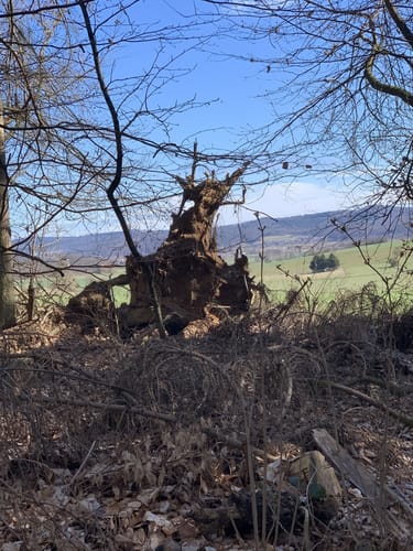Lahnwanderweg Etappe 7: Marburg - Fronhausen