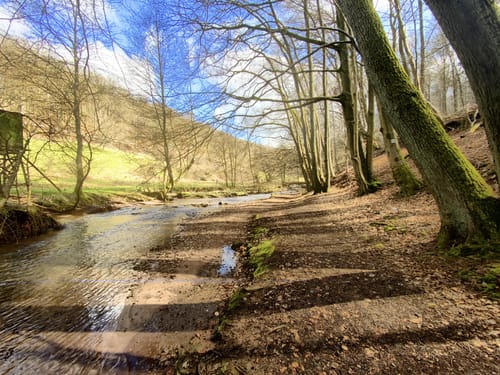 Mühlenpfad (Premiumwanderweg)
