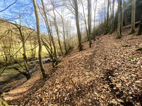 Mühlenpfad (Premiumwanderweg)