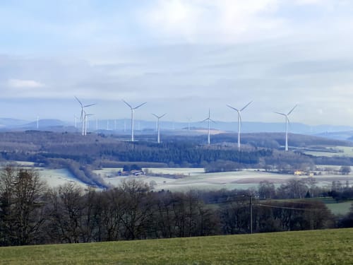 Steinbachpfad (Premiumwanderweg)