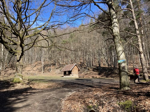 Von Römersberg zur Altenburg