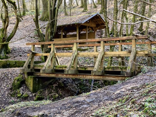 Mühlenpfad (Premiumwanderweg)