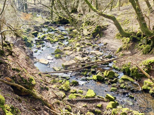 Mühlenpfad (Premiumwanderweg)