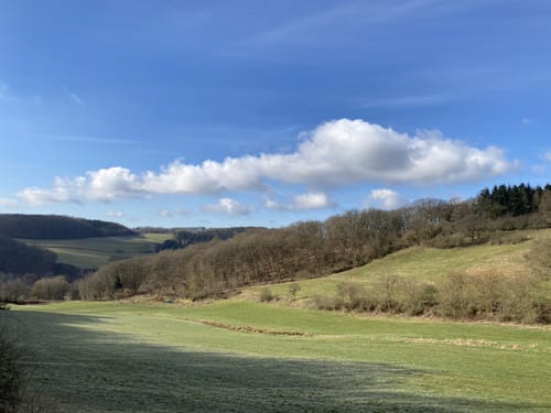 Rundwanderweg "Mit 100 um Bad Münstereifel"