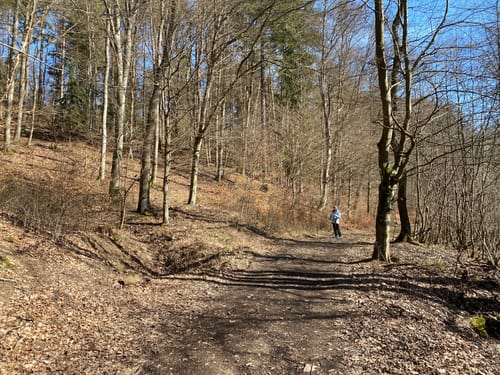 Im Lametbach-Tal