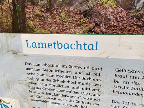 Im Lametbach-Tal