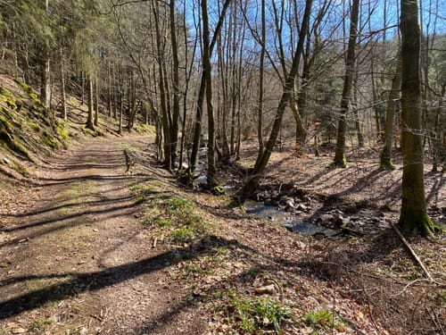 Im Lametbach-Tal