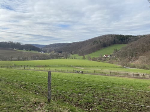 Elfringhauser Schweiz
