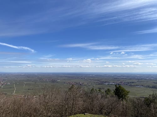 Burrweiler - St. Anna-Kapelle -Trifelsblick