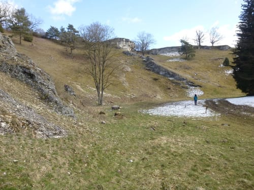 Rund um Hörvelsingen