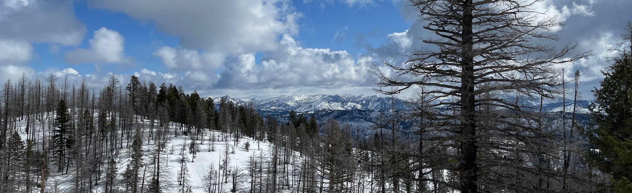 Mores Creek Summit Mountain Bike Loop, Idaho 4 Reviews, Map AllTrails