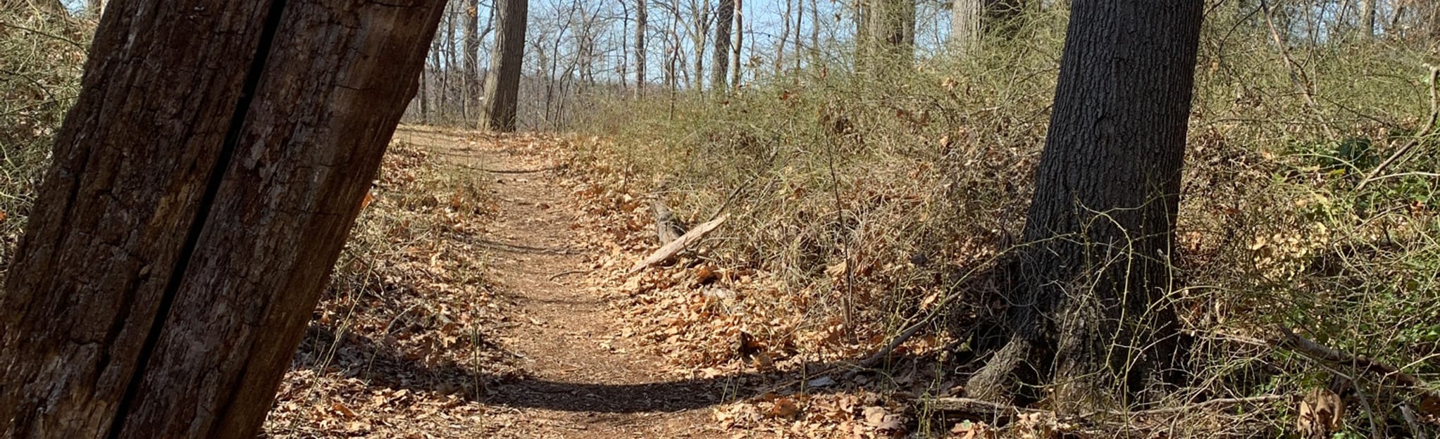 Fort Bunker Hill Park Walk, District of Columbia 15 Reviews, Map