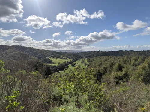 10 Best Trails And Hikes In Castro Valley Alltrails 4816