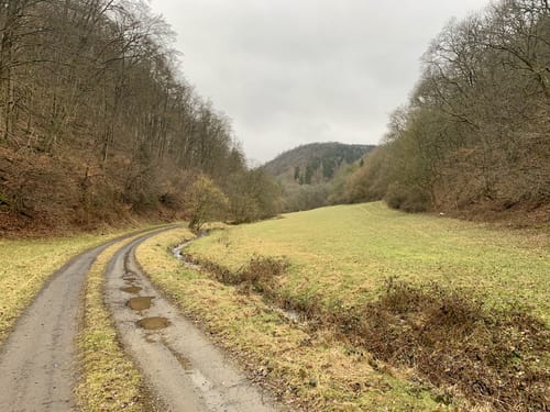Stille Schönheit Hohe Warte