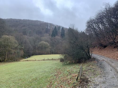Hundsburgskopf von Herschbach
