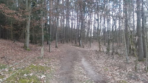 Schönlage Runde