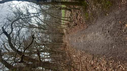 Schönlage Runde