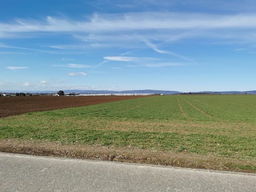 Nordenstadt - Igstadt - Erbenheim