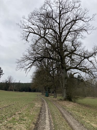 Bayerbach an der Rott Runde