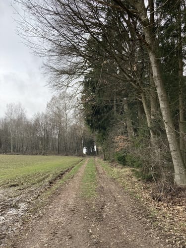 Bayerbach an der Rott Runde