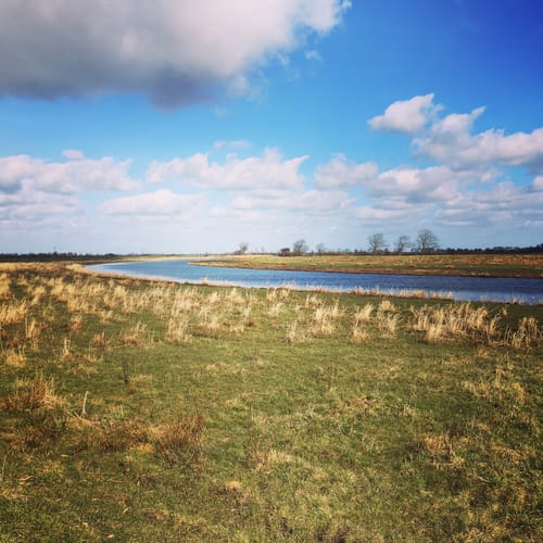 Wildes Moor bei Schwabstedt