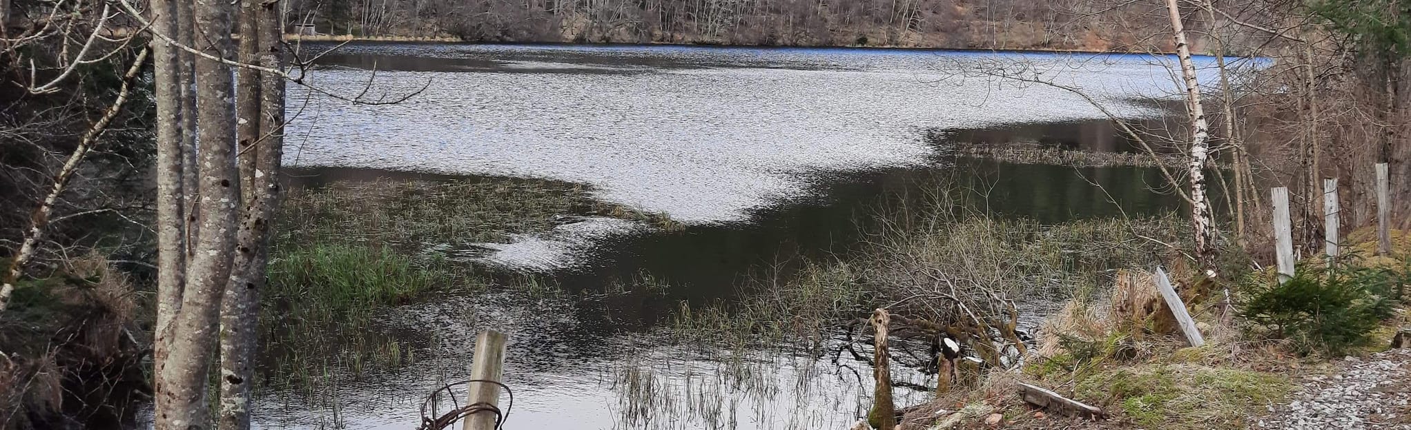 Drummuir and Loch Park, Moray, Scotland 11 Reviews, Map AllTrails