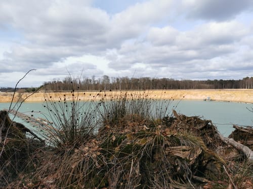 Um den Langener Waldsee und den Egelsbacher See