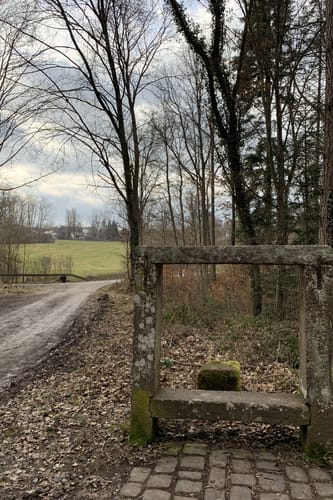 Waldpfad Calw