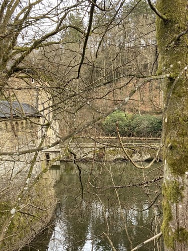 Schloss Crottorf - Burg Wildenburg