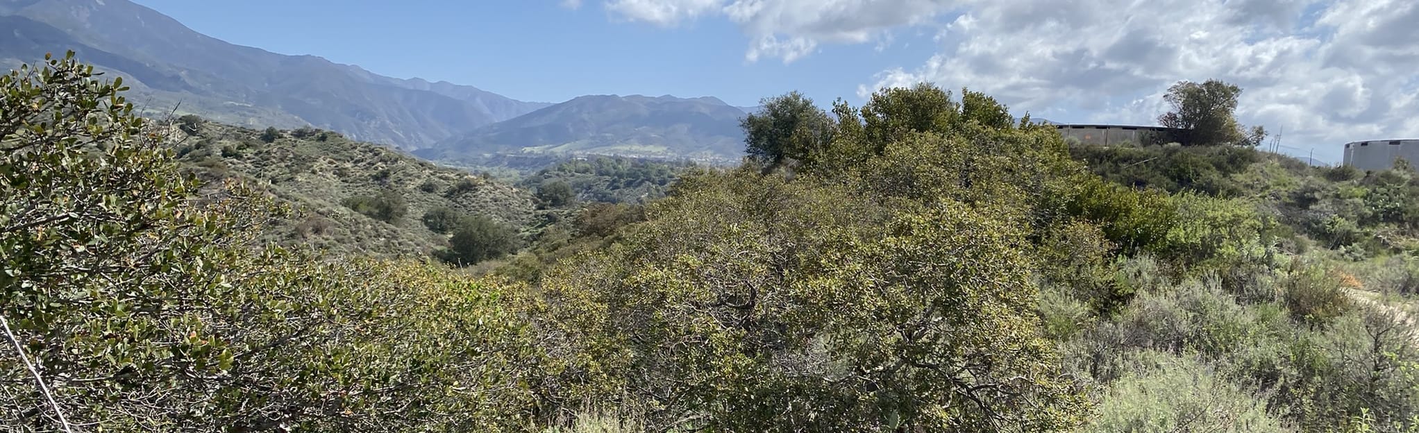 Pawfoot, Live Oak Canyon, Raccoon, Coyote Canyon, and Live Oak Loop