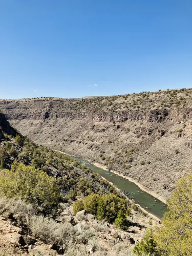 2023 Best Wild Flowers Trails In Arroyo Hondo | AllTrails