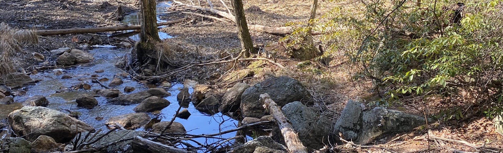 Lo Flo and Holbrook Trail 157 Reviews, Map New Hampshire AllTrails