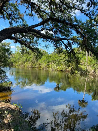 10 Best Trails and Hikes in Port St. Lucie