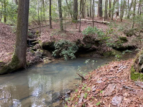 10 Best Hikes And Trails In William B Bankhead National Forest | AllTrails