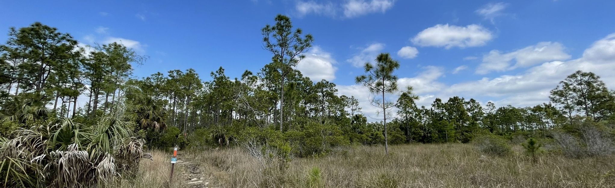 Florida National Scenic Trail via Eastern Corridor: 2 Reviews, Map ...